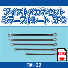 TM-02 ツイストメガネセット ミラーストレート 5PC