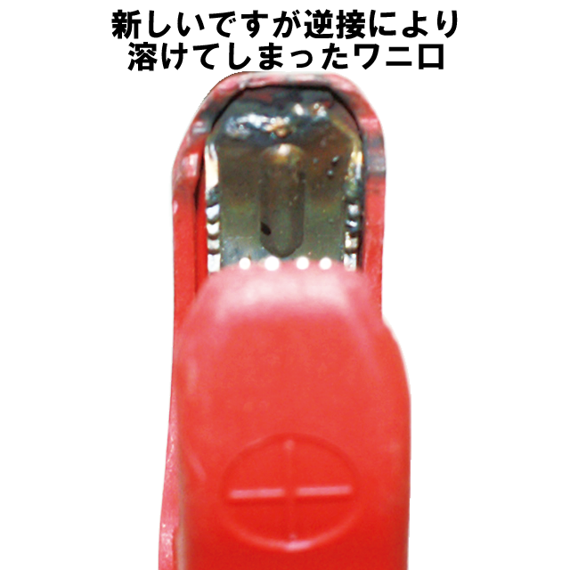 新しいが逆説したワニ口